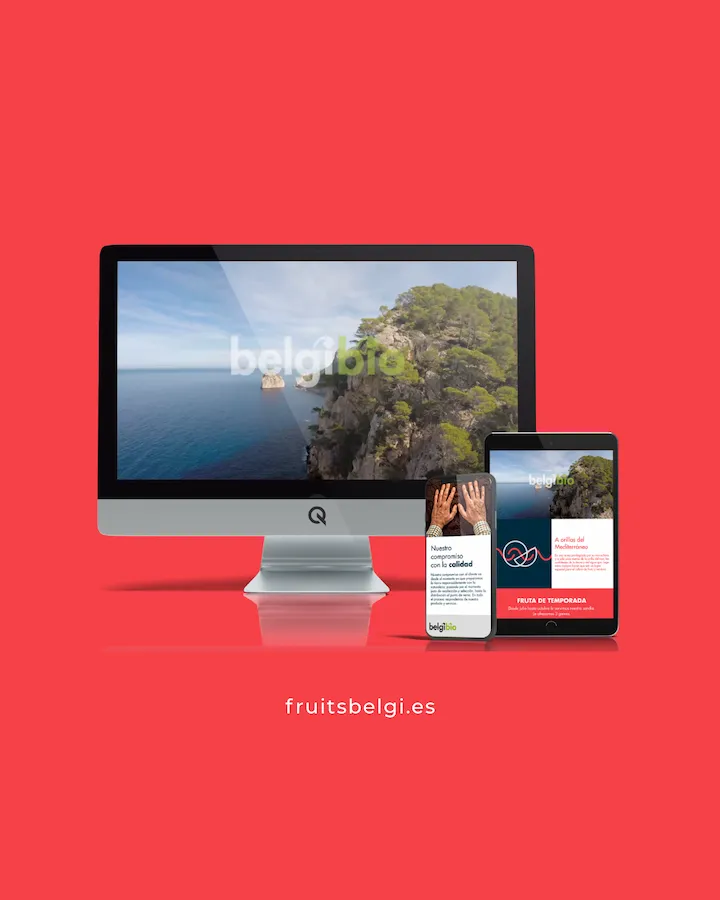 Diseño Web Fruta Ecológica