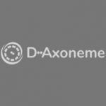D-Axoneme